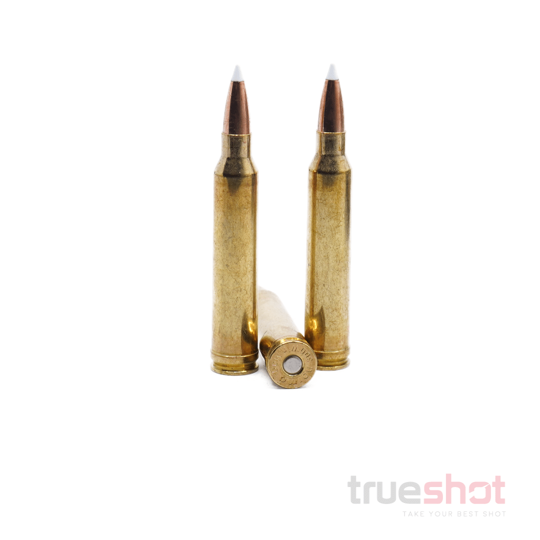 Armscor-300-Win-Mag-180-Grain-Accubond.