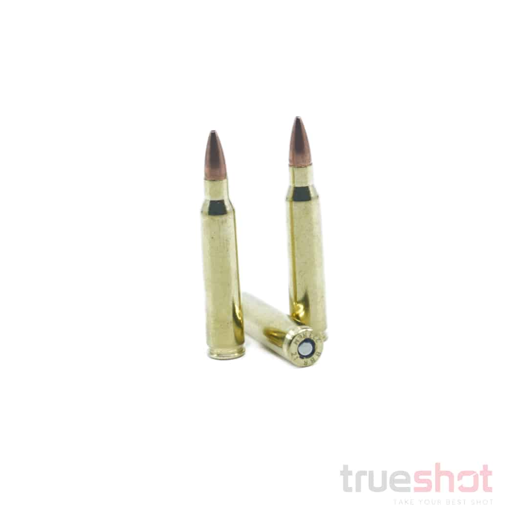 Barnes Precision Match 223 Rem 55 Grain OTM BT