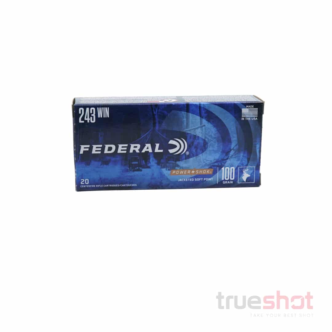 Federal-243-Win-100-Grain-SP