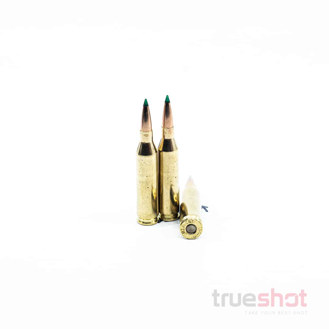 HSM - 243 Win - 90 Grain - HPBT