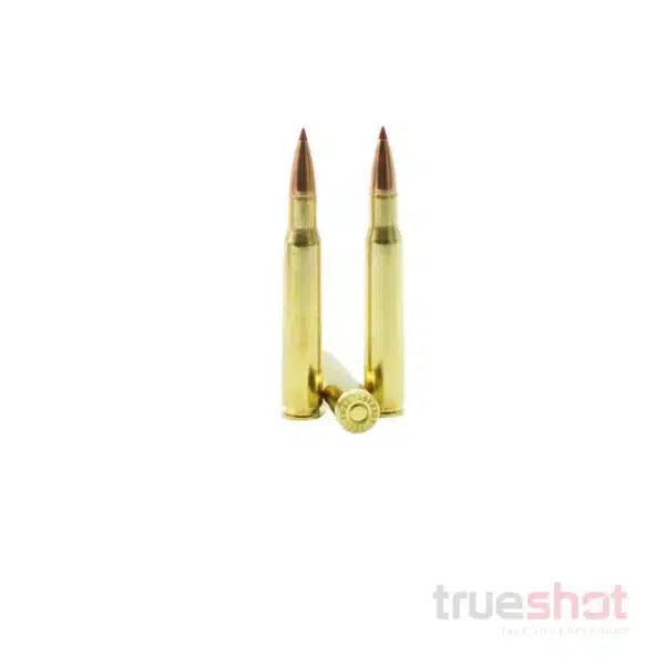 Hornady - Superformance - 30-06 - 165 Grain - CX