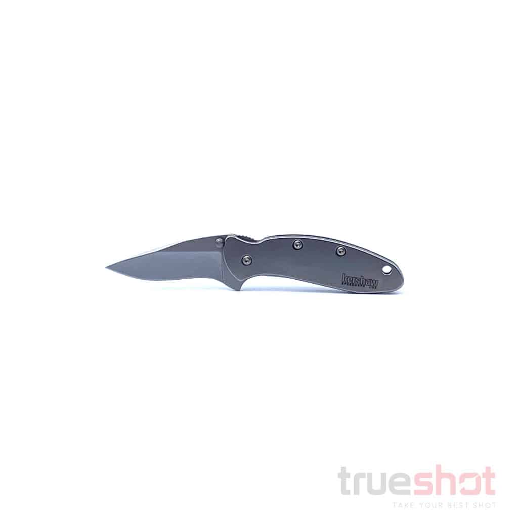 Kershaw - Chive Stainless - Gray - 420 - 1.94"