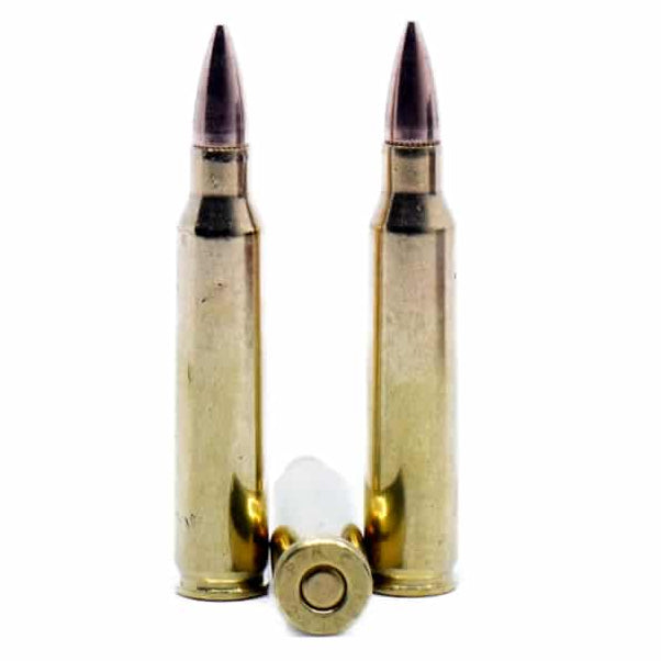 PMC-Bronze-223-Rem-55-Grain-FMJ