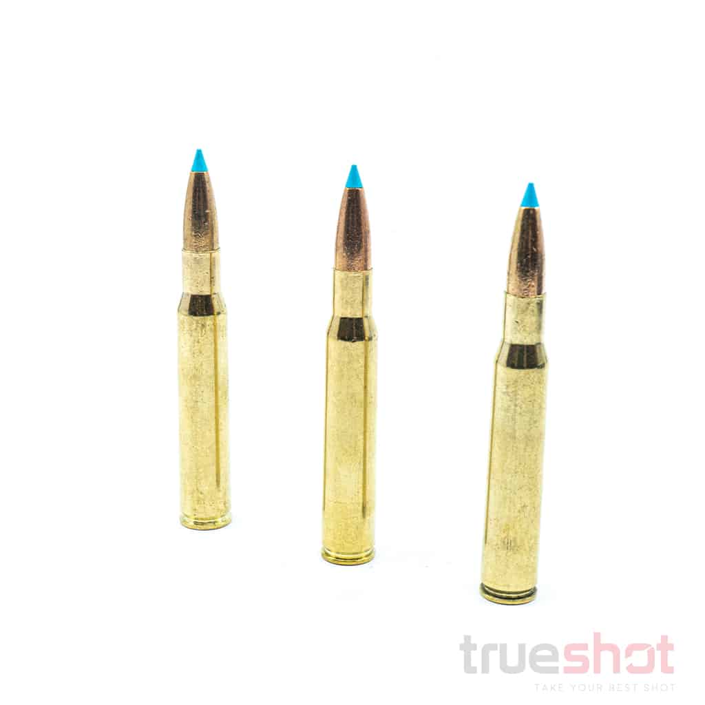 Sellier & Bellot - 30-06 Springfield - 180 Grain - Exergy