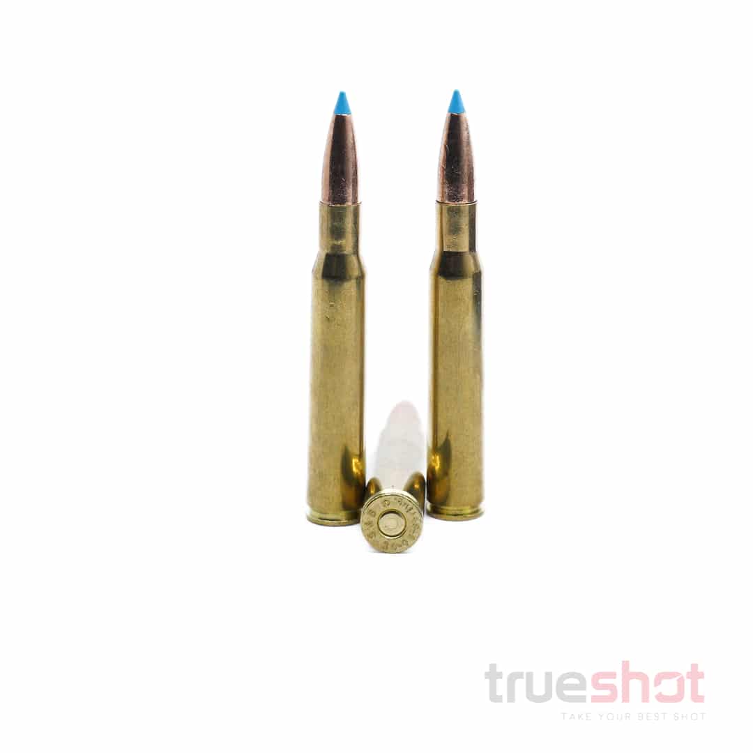 Sellier-bellot-30-306-Springfield-165-Grain-Exergy