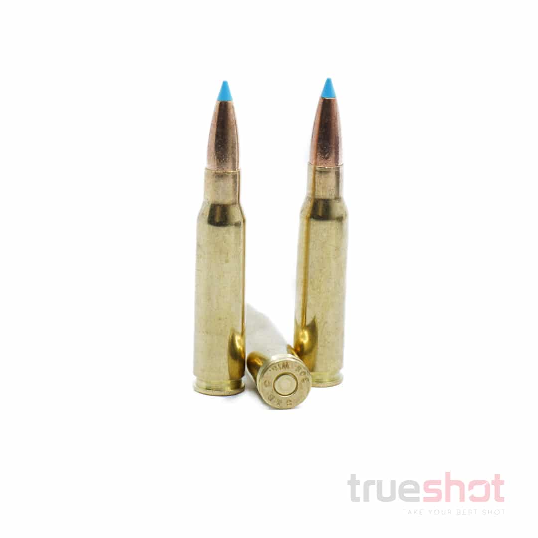 Sellier-Bellot-308-Win-165-Grain-Exergy.