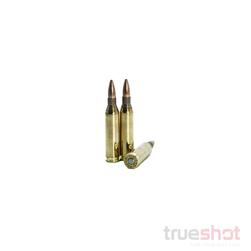 Sierra - Sports Master - 243 Win - 100 Grain - HPBT GAMEKING