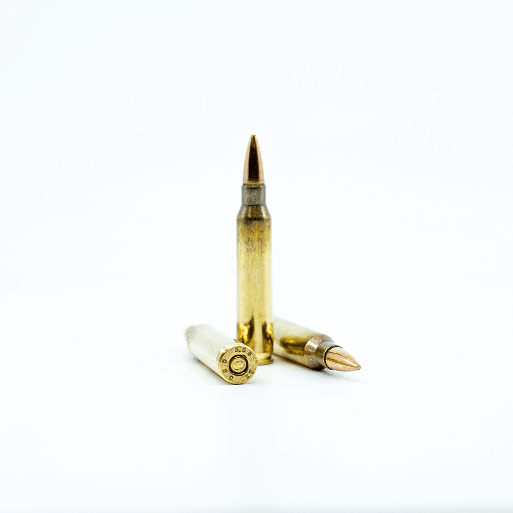 Magtech - 5.56x45mm - 55 Grain - FMJ