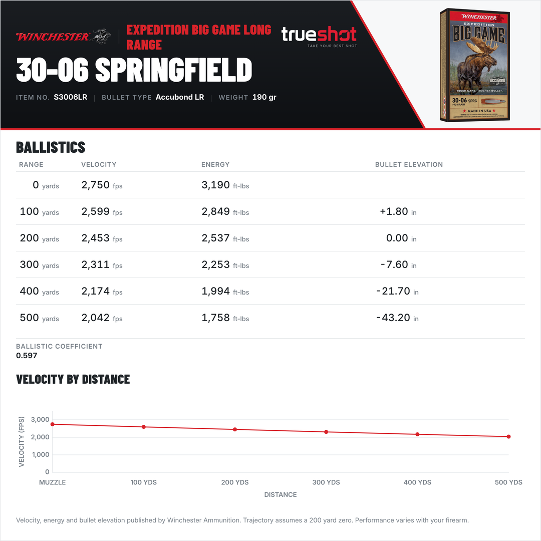 Winchester - Expedition Big Game - 30-06 Springfield - 190 Grain - AB