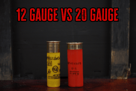 12 Gauge vs 20 Gauge: Full Comparison