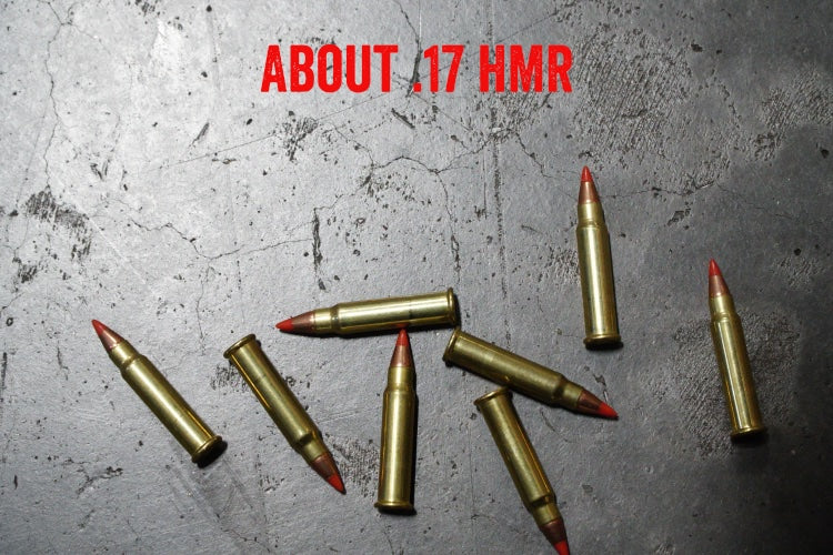 About .17 HMR