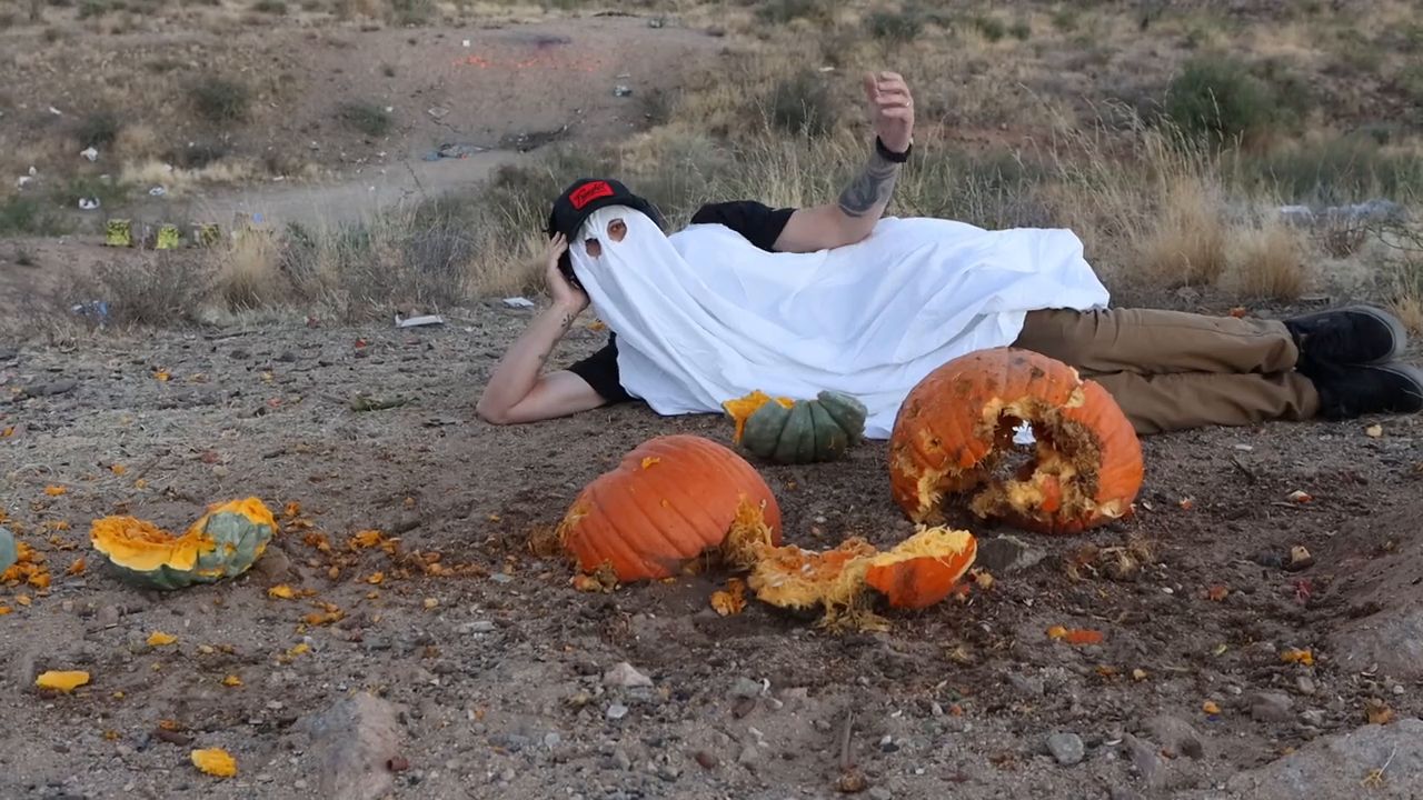 Pumpkins vs. Bullets: A Whimsical Experiment