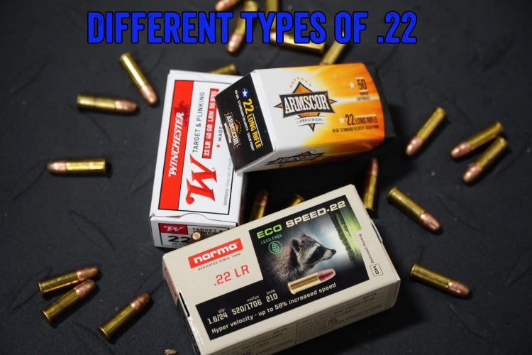 Different Types of .22 | True Shot Ammo