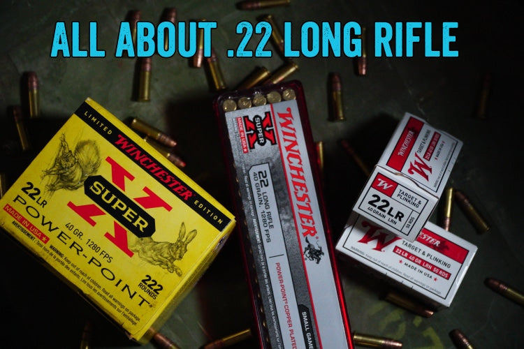 All About .22 Long Rifle
