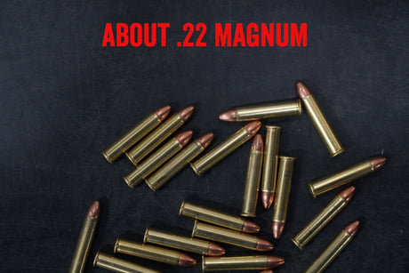 About .22 Magnum