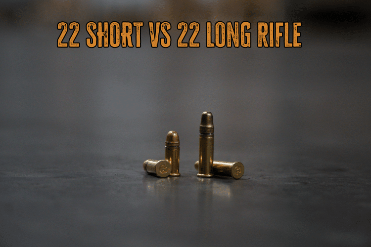 .22 Short vs .22 Long Rifle