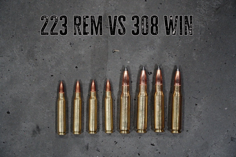 .223 Remington vs .308 Winchester