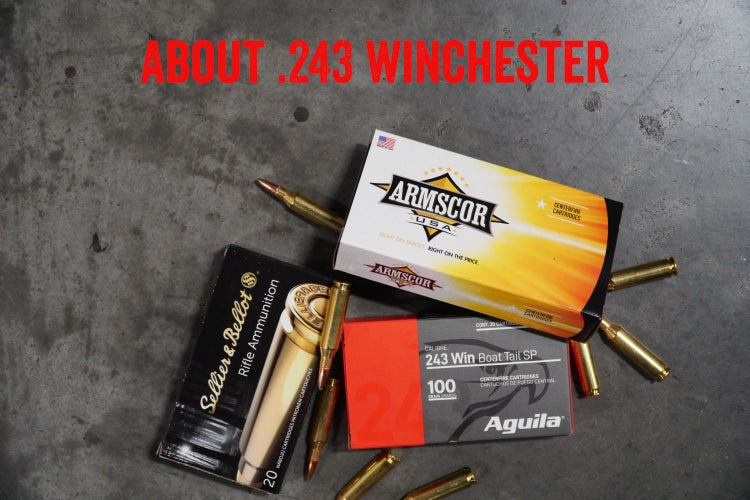 About .243 Winchester