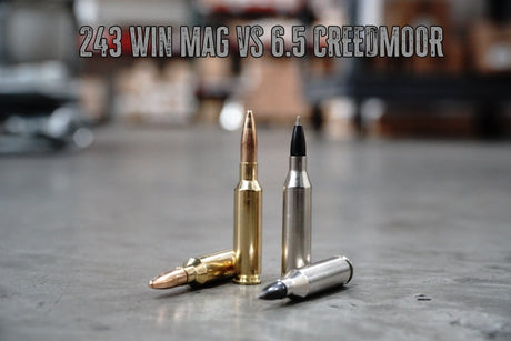 .243 Winchester vs 6.5 Creedmoor