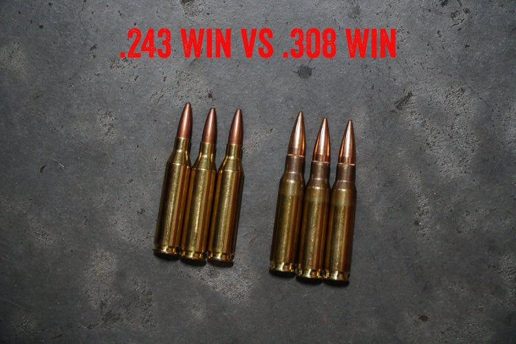 .243 Win vs .308 Win: A Comparison