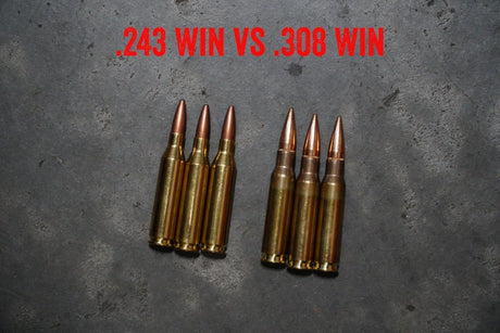 .243 Win vs .308 Win: A Comparison