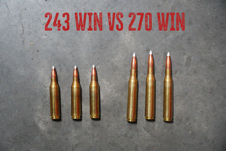 .243 Winchester vs .270 Winchester: Classic Bolt-Gun Caliber Clash