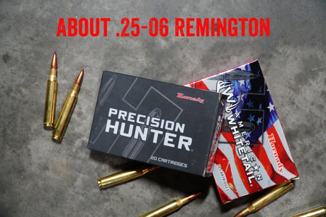 About .25-06 Remington