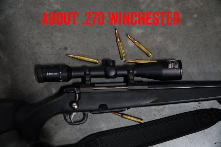 About .270 Winchester