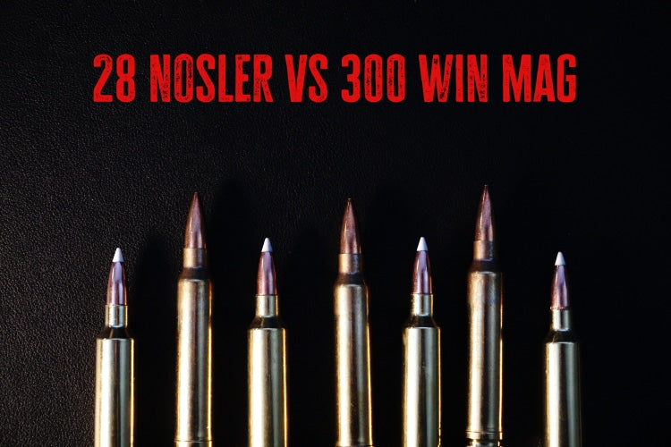.28 Nosler vs .300 Winchester Magnum