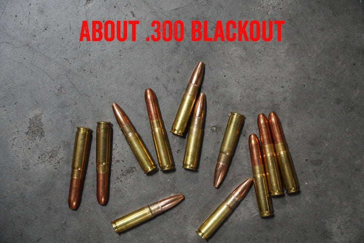 About .300 Blackout