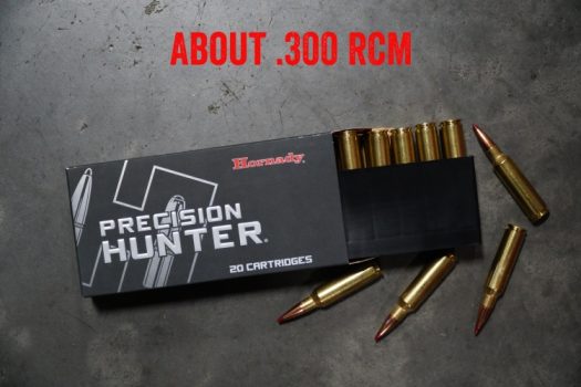 .300 RCM Explained: History, Ballistics & Use Cases | True Shot Academy