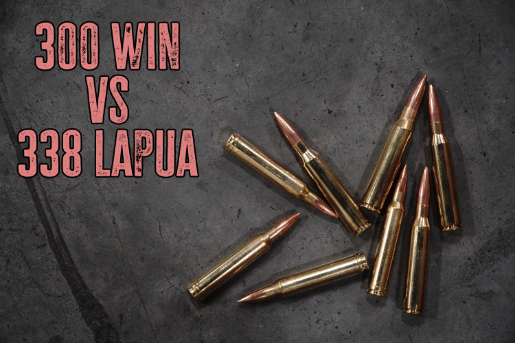300 Win Mag vs 338 Lapua