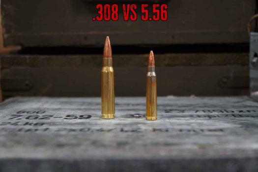 .308 vs 5.56 Comparison