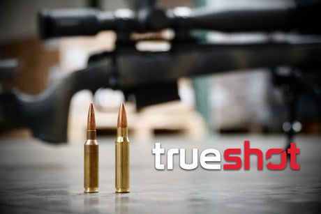 .308 Winchester vs 6.5 Creedmoor