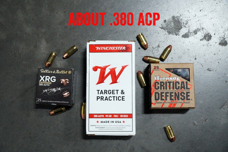 About .380 ACP