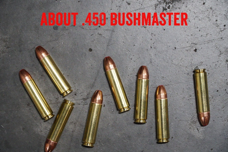 About .450 Bushmaster