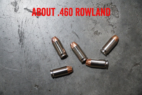 About .460 Rowland