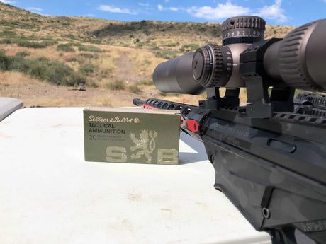 10 Questions for 2019 - Part 2 - Which long range caliber will reign supreme?