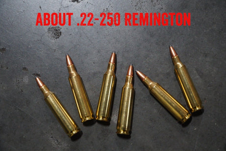 About .22-250 Remington