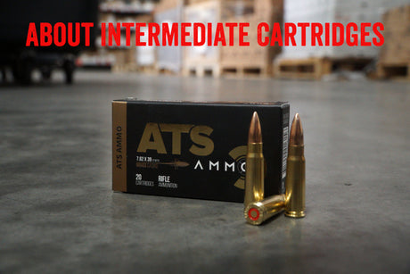 About Intermediate Cartridges