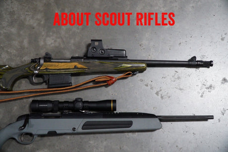 About Scout Rifles