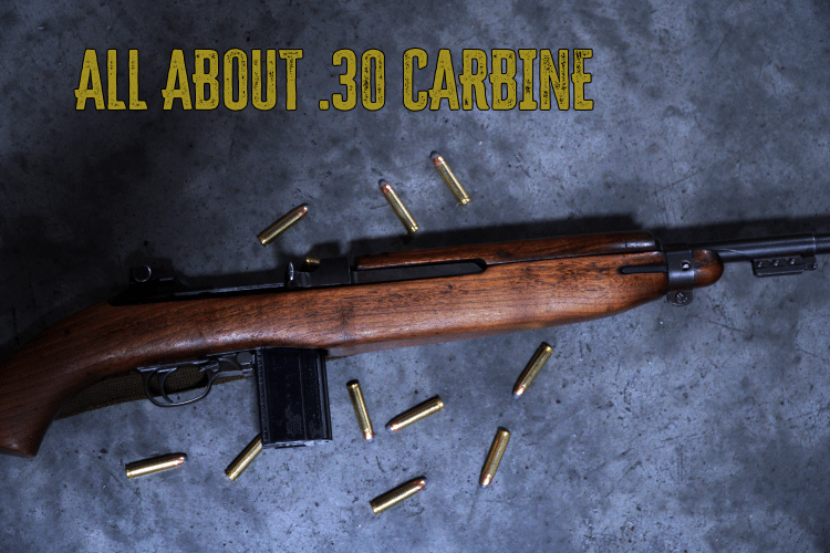 All You Need to Know About .30 Carbine