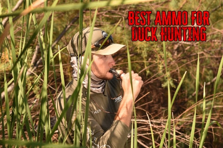 Best Shells For Duck Hunting