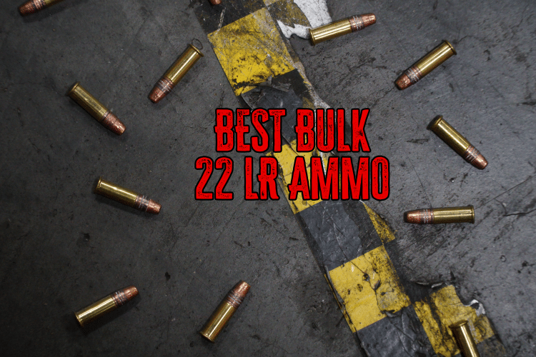 Best Bulk .22 Rimfire Ammo