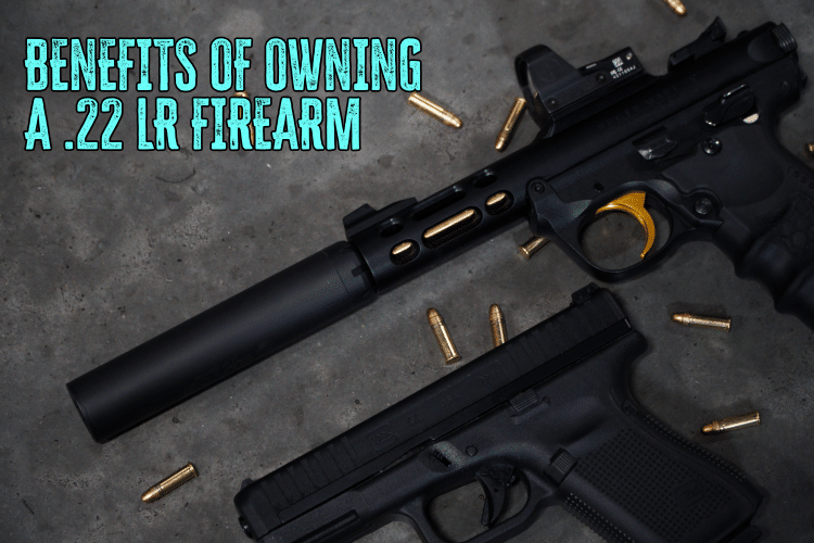 The Benefits of Owning a Firearm In .22 Long Rifle