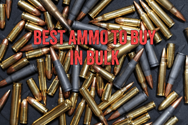 What is the Best Ammo to Buy in Bulk?