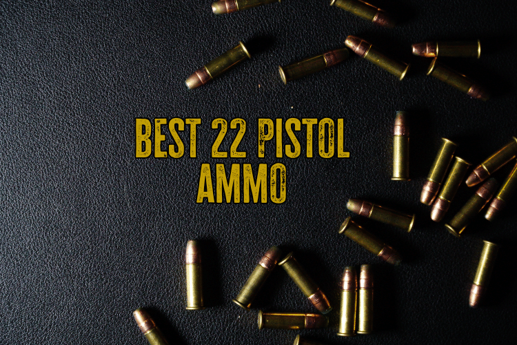 Best .22 Long Rifle Pistol Ammo