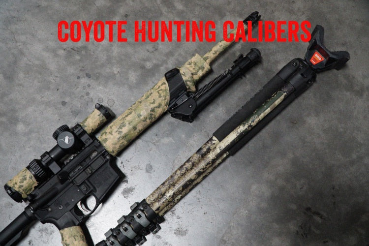 Coyote Hunting Calibers