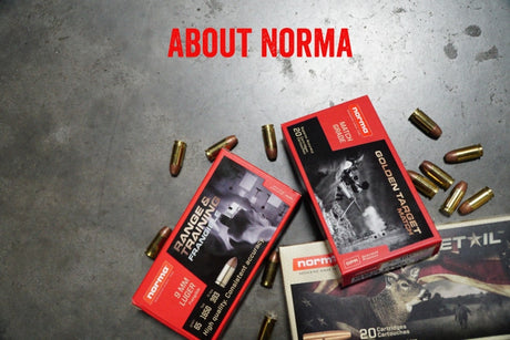 About Norma