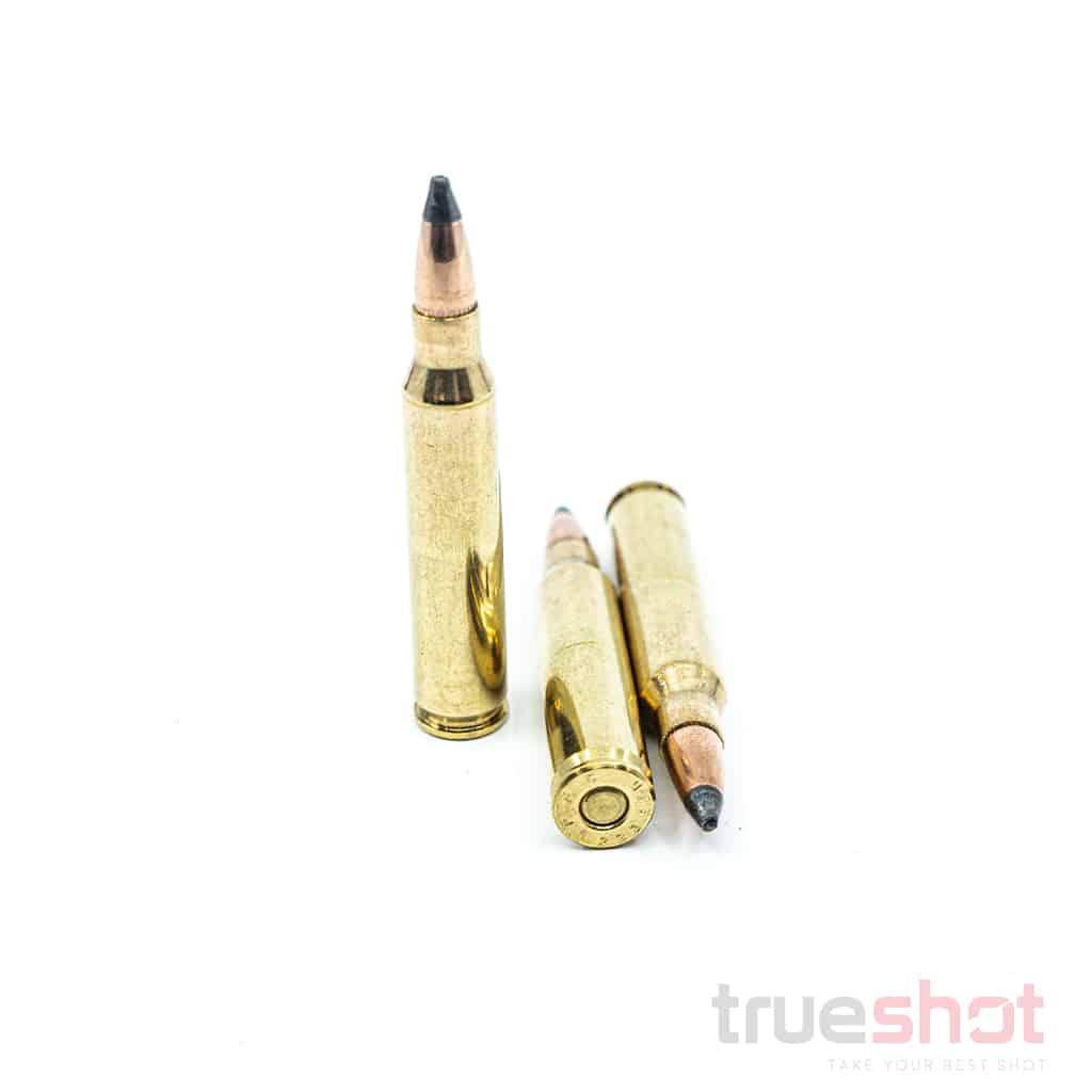 PMC Bronze 223 Rem 55 Grain PSP Review